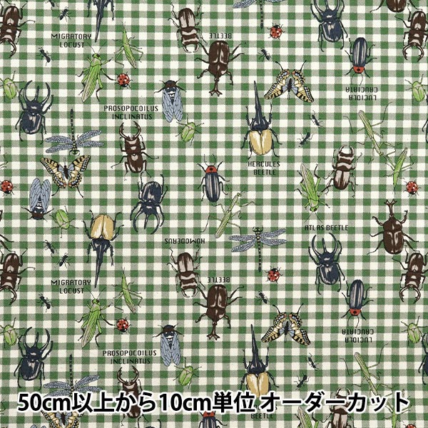 [Quantity starting from 5] Fabric 『Oxford Colorful Canvas Forest Heroes Green COCAN-HERO-GR" KOKKA