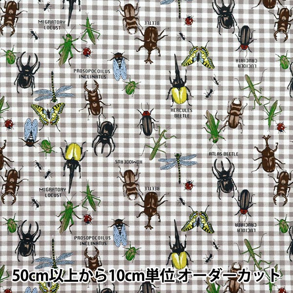 [Quantity starting from 5] Fabric 『Oxford Colorful Canvas Forest Heroes Gray COCAN-HERO-GY" KOKKA