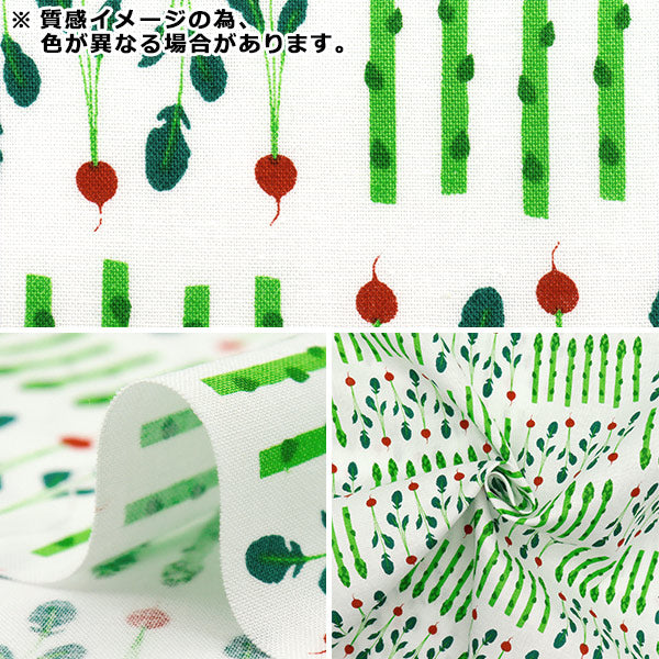 [Quantità a partire da 5] Tessuto 『fogli Rosa vegetale YZ1016-B"