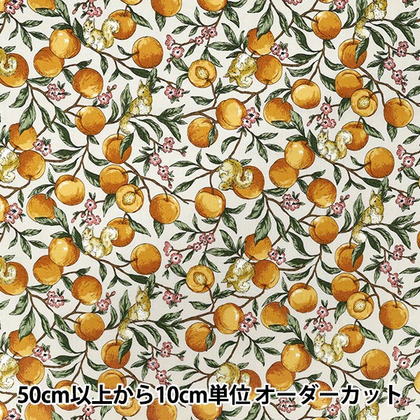 [Quantity starting from 5] Fabric 『Sheeting Fruit squirrel Ivory YZ55103-1A"