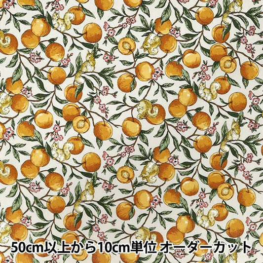 [Quantity starting from 5] Fabric 『Sheeting Fruit squirrel Ivory YZ55103-1A"