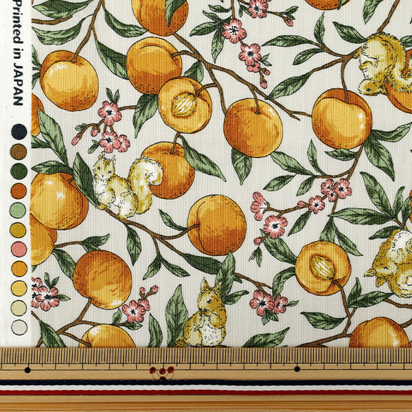 [Quantity starting from 5] Fabric 『Sheeting Fruit squirrel Ivory YZ55103-1A"