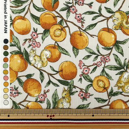 [Quantity starting from 5] Fabric 『Sheeting Fruit squirrel Ivory YZ55103-1A"
