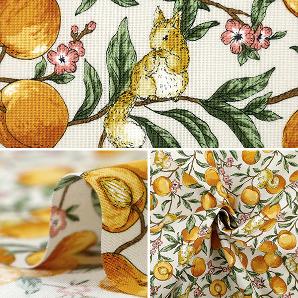 [Quantity starting from 5] Fabric 『Sheeting Fruit squirrel Ivory YZ55103-1A"