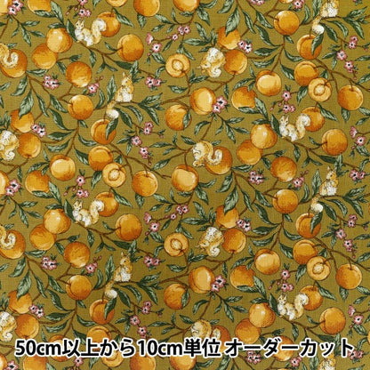 [Quantity starting from 5] Fabric 『Sheeting Fruit squirrel mustard YZ55103-1B"