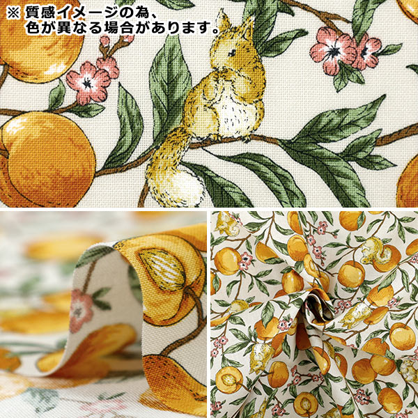 [Quantity starting from 5] Fabric 『Sheeting Fruit squirrel mustard YZ55103-1B"