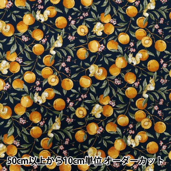 [Quantity starting from 5] Fabric 『Sheeting Fruit squirrel navy YZ55103-1C"