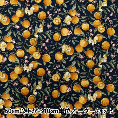[Quantity starting from 5] Fabric 『Sheeting Fruit squirrel navy YZ55103-1C"