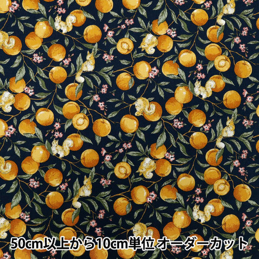 [Quantity starting from 5] Fabric 『Sheeting Fruit squirrel navy YZ55103-1C"