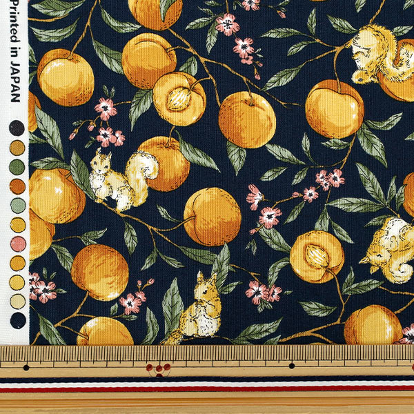 [Quantity starting from 5] Fabric 『Sheeting Fruit squirrel navy YZ55103-1C"
