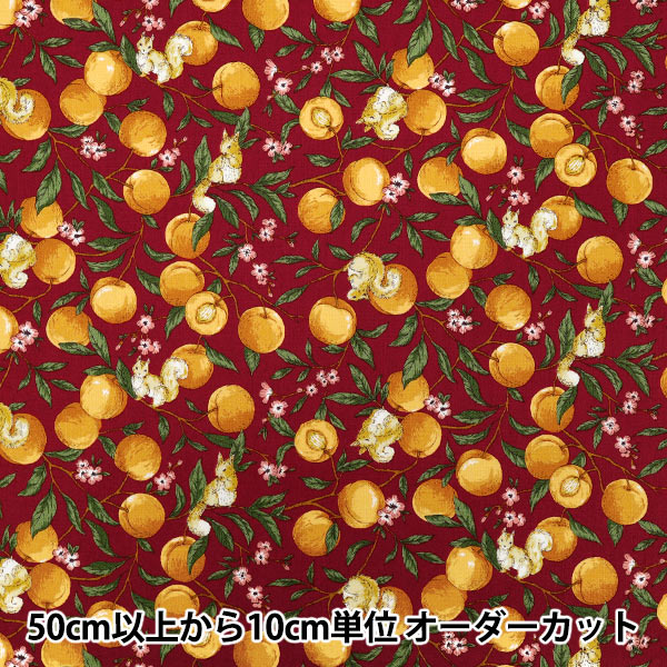 [Quantity starting from 5] Fabric 『Sheeting Fruit squirrel red YZ55103-1D"