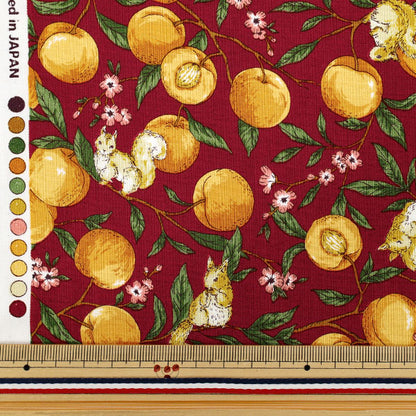[Quantity starting from 5] Fabric 『Sheeting Fruit squirrel red YZ55103-1D"