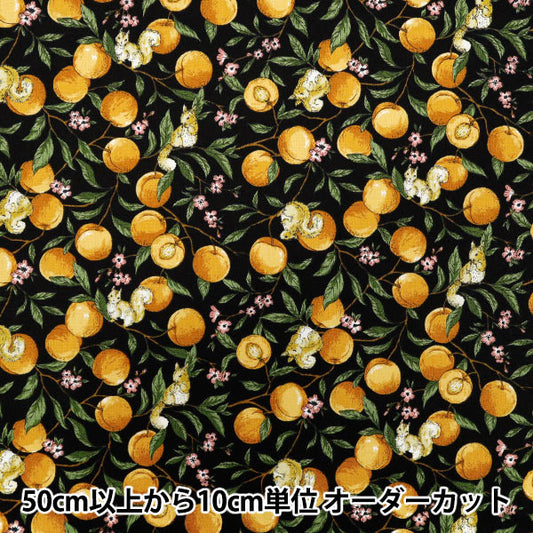 [Quantity starting from 5] Fabric 『Sheeting Fruit squirrel black YZ55103-1E"