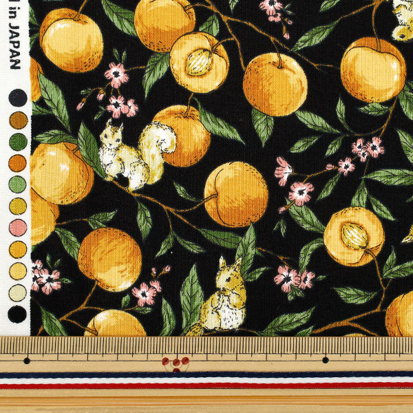 [Quantity starting from 5] Fabric 『Sheeting Fruit squirrel black YZ55103-1E"
