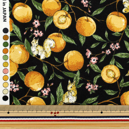 [Quantity starting from 5] Fabric 『Sheeting Fruit squirrel black YZ55103-1E"
