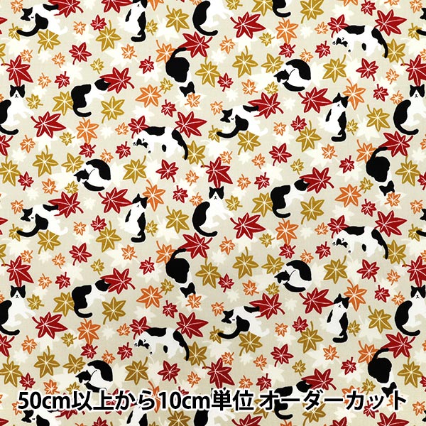 [Quantità a partire da 5] Tessuto 『fogli Hachifure Cat Autunno Foglie avorio YZ55902-1A"