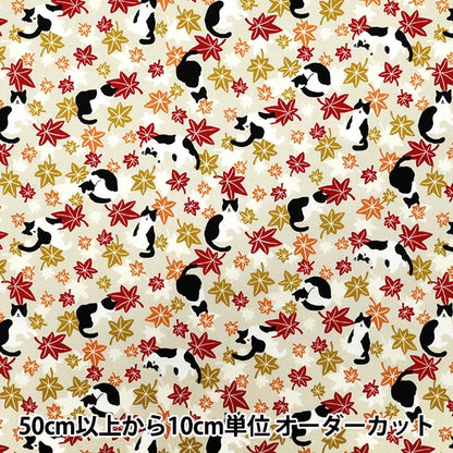 [Quantità a partire da 5] Tessuto 『fogli Hachifure Cat Autunno Foglie avorio YZ55902-1A"