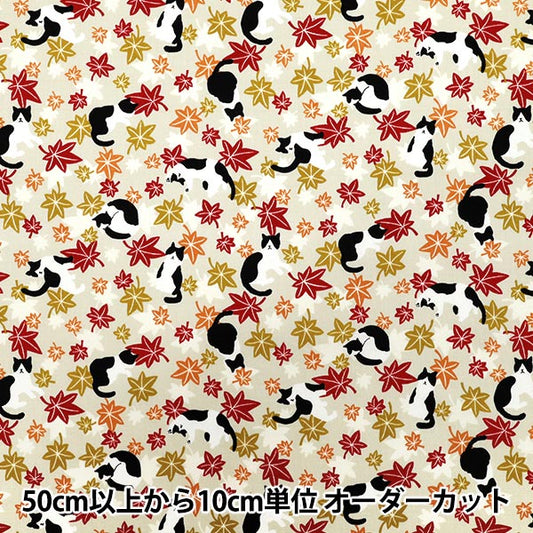 [Quantità a partire da 5] Tessuto 『fogli Hachifure Cat Autunno Foglie avorio YZ55902-1A"