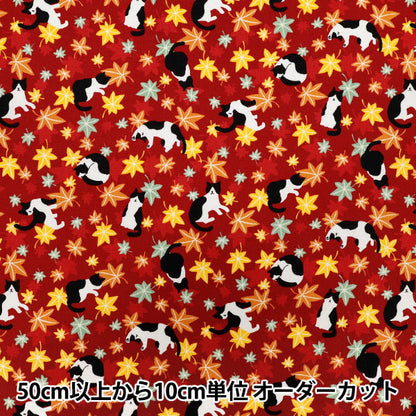 [Quantità a partire da 5] Tessuto 『fogli Hachifure Cat Autunno foglie rosso YZ55902-1D"