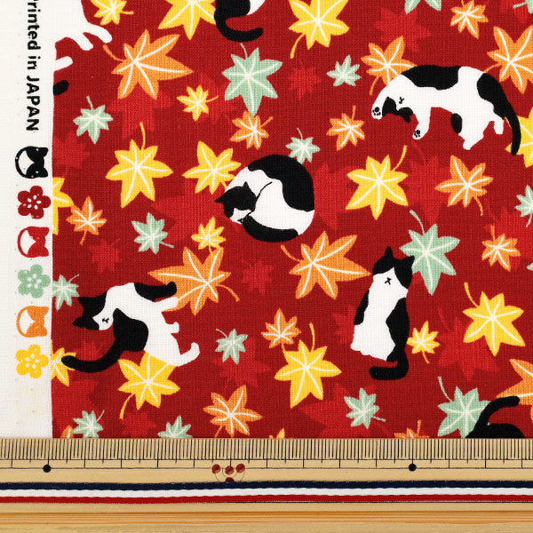 [Quantità a partire da 5] Tessuto 『fogli Hachifure Cat Autunno foglie rosso YZ55902-1D"