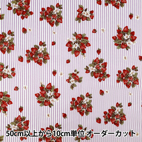 【数量5から】 生地 『シーチング ストロベリーストライプ パープル YZ1025-2D』