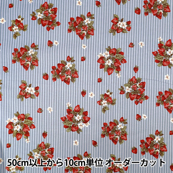 【数量5から】 生地 『シーチング ストロベリーストライプ ブルー YZ1025-2F』