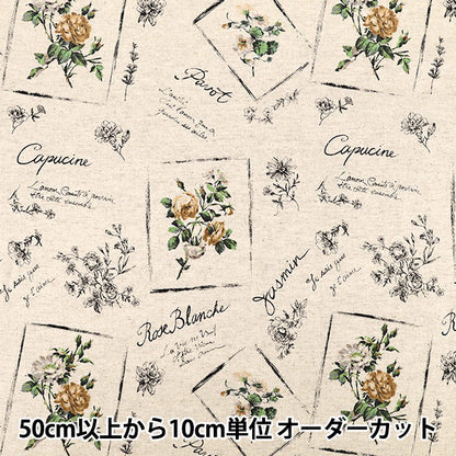 【수량 5부터】 천・원단 "広巾綿麻시팅 원단 골동품꽃 키나리 YUZ-956-1」munsell 맨셀 컬렉션[Yuzawaya 오리지널】