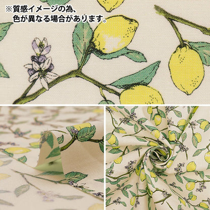 [Quantité à partir de 5] Tissu 『siège Citron avec branches, KTS6951SE-NA" COTTON KOBAYASHI 【Yuzawayaoriginal】