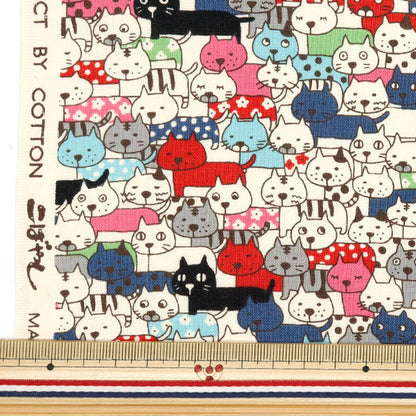 [Quantity starting from 5] Fabric 『Sheeting Full of cats Multi ACS1107-A" COTTON KOBAYASHI