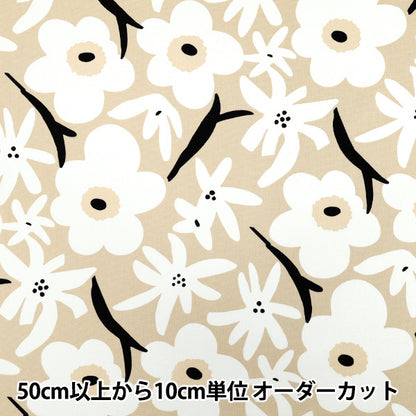 [数量从5开始] 织物 “ Usako的布” 牛津布 季节米色X白色ACS1114-C" COTTON KOBAYASHI