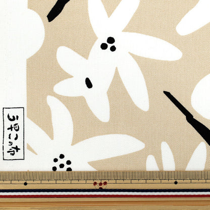 [数量从5开始] 织物 “ Usako的布” 牛津布 季节米色X白色ACS1114-C" COTTON KOBAYASHI