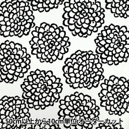 [الكمية تبدأ من 5] الأقمشة "قطعة قماش أوساكو" أكسفورد Dahlia White X Black ACS1115-C" COTTON KOBAYASHI