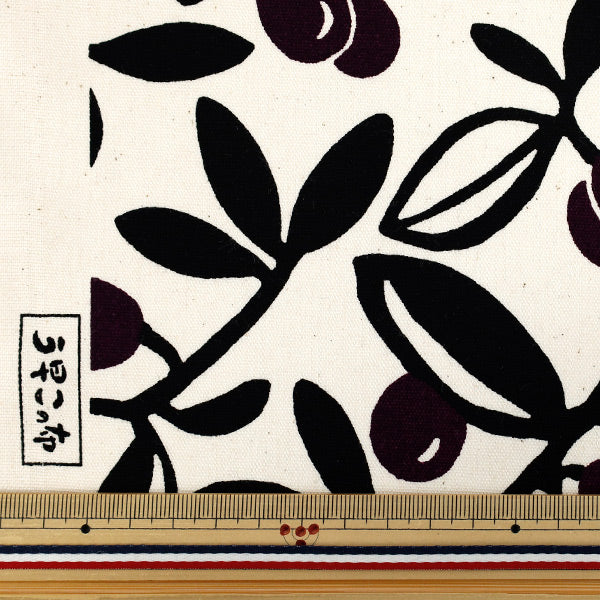 【数量5から】 生地 『う早この布 オックス オリーブ キナリ×パープル ACS1136-A』 COTTON KOBAYASHI コットンこばやし 小林繊維