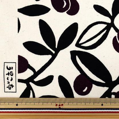 【数量5から】 生地 『う早この布 オックス オリーブ キナリ×パープル ACS1136-A』 COTTON KOBAYASHI コットンこばやし 小林繊維