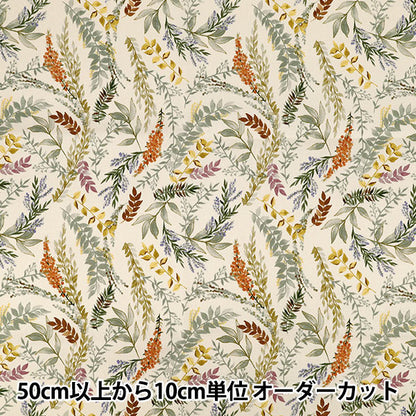 [Quantity from 5] Fabric 『Oxford Botanical Ivory ACS1129-A" COTTON KOBAYASHI