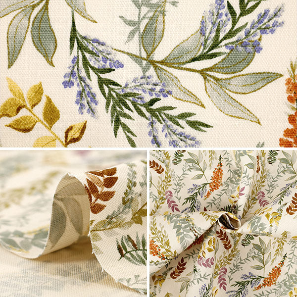 [Quantity from 5] Fabric 『Oxford Botanical Ivory ACS1129-A" COTTON KOBAYASHI