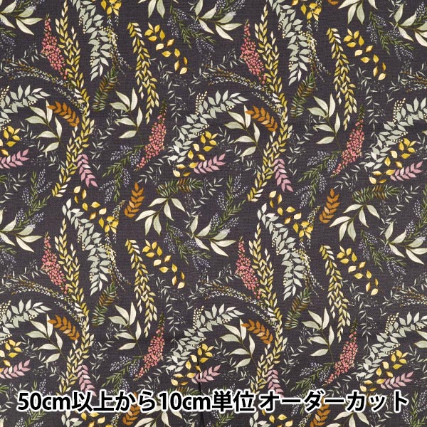 [Quantità da 5] Tessuto 『Oxford Carbone botanico ACS1129-C" COTTON KOBAYASHI