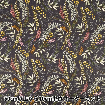 [Quantità da 5] Tessuto 『Oxford Carbone botanico ACS1129-C" COTTON KOBAYASHI
