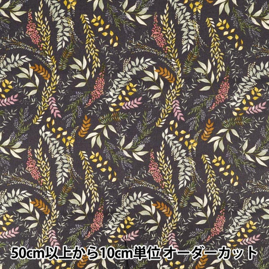 [Quantità da 5] Tessuto 『Oxford Carbone botanico ACS1129-C" COTTON KOBAYASHI