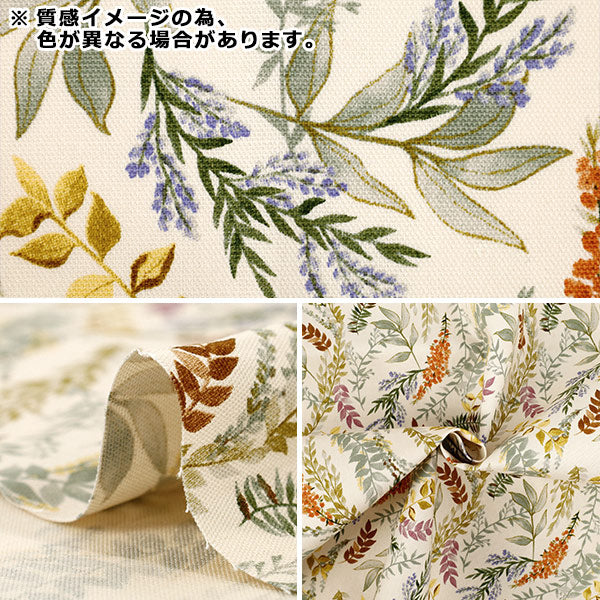 [Quantità da 5] Tessuto 『Oxford Carbone botanico ACS1129-C" COTTON KOBAYASHI