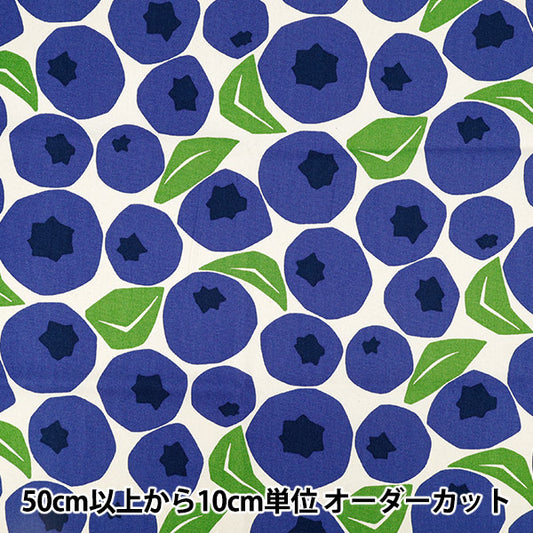 [Quantità da 5] Tessuto "Uhaya questo panno." Oxford Mirtillo Kinari x Blu ACS1143-A" COTTON KOBAYASHI