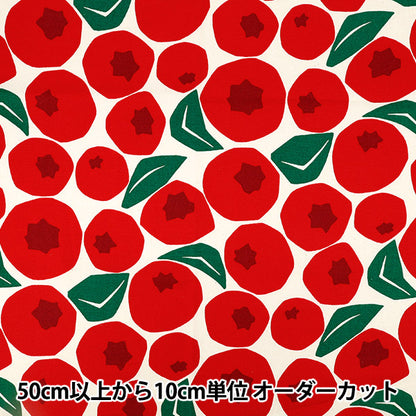 [Quantità da 5] Tessuto "Uhaya questo panno." Oxford Mirtillo Kinari x Rosso ACS1143-B" COTTON KOBAYASHI