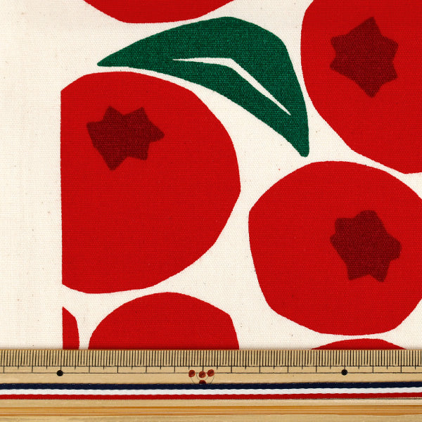 [Quantità da 5] Tessuto "Uhaya questo panno." Oxford Mirtillo Kinari x Rosso ACS1143-B" COTTON KOBAYASHI