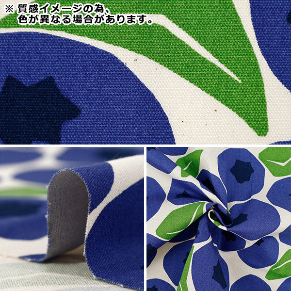 [Quantità da 5] Tessuto "Uhaya questo panno." Oxford Mirtillo Kinari x Rosso ACS1143-B" COTTON KOBAYASHI