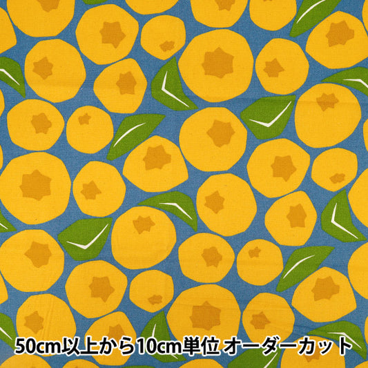 [Quantità da 5] Tessuto "Uhaya questo panno." Oxford Blu Mirtillo x Giallo ACS1143-C" COTTON KOBAYASHI