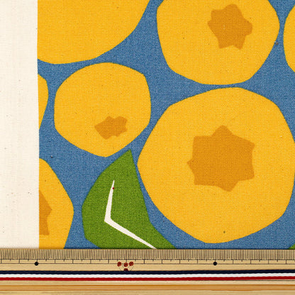 [Quantity from 5] Fabric ``Uhaya this cloth Oxford Blueberry Blue x Yellow ACS1143-C" COTTON KOBAYASHI
