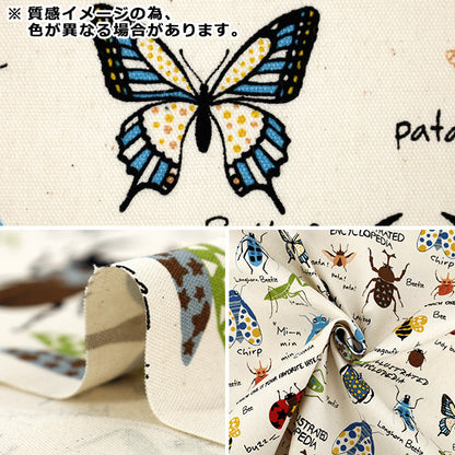 【数量5から】 生地 『オックス 昆虫図鑑 グレー ACS1163-D』 COTTON KOBAYASHI コットンこばやし 小林繊維