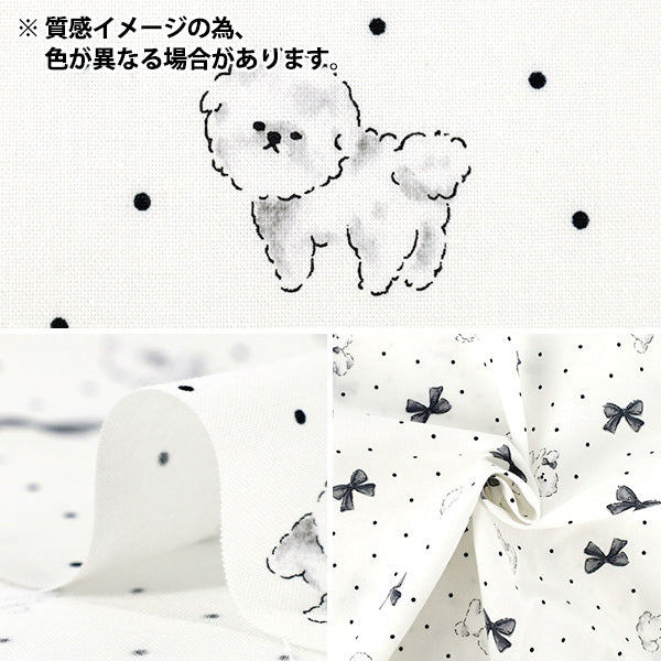 【数量5から】 生地 『シーチング カラフルキャンバス おすましビション ホワイト×ピンク COCA-OB-WH*PI』 KOKKA コッカ