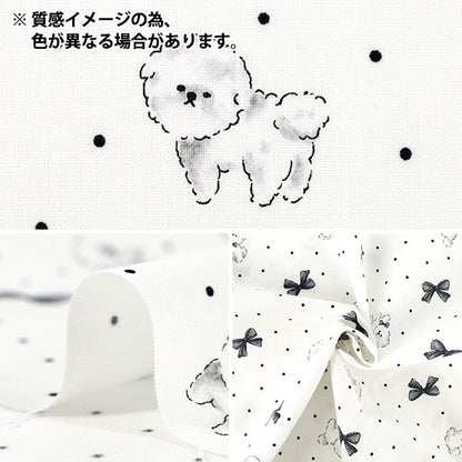 【数量5から】 生地 『シーチング カラフルキャンバス おすましビション ホワイト×ピンク COCA-OB-WH*PI』 KOKKA コッカ