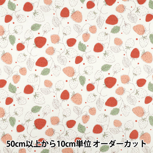 [数量5起] 织物 "彩色帆布简单浆果象牙COCA-JBB-IV” KOKKA 【Yuzawaya原文】